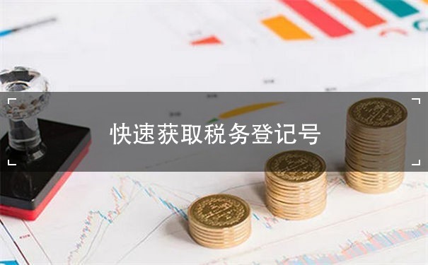 快速获取税务登记号：香港税务登记号查询