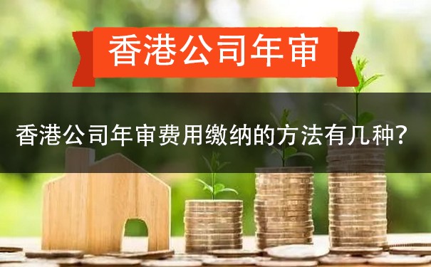 香港公司年审费用缴纳的方法有几种？