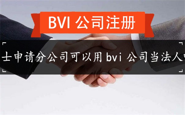 瑞士申请分公司可以用bvi公司当法人吗