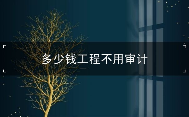 多少钱工程不用审计