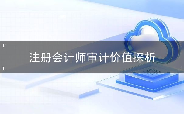 注册会计师审计价值探析