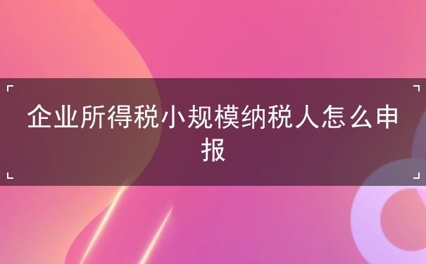 企业所得税小规模纳税人 企业所得税小规模纳税人