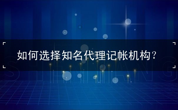 代理记帐机构 代理记帐机构