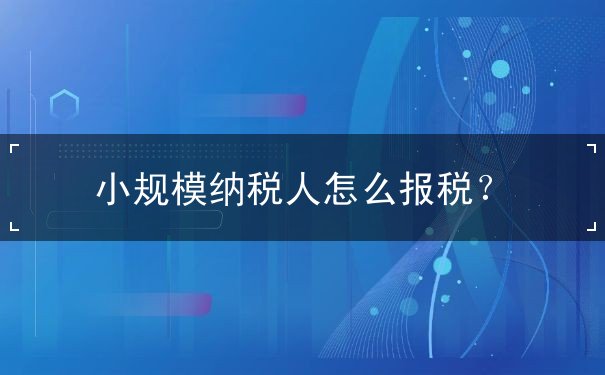 报税 报税