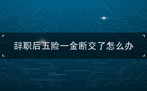 辞职后五险一金断交了怎么办 辞职后五险一金断交了怎么办