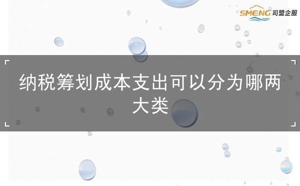 纳税筹划成本支出可以分为哪两大类 纳税筹划成本支出可以分为哪两大类