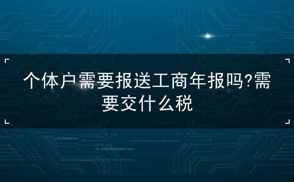 个体户工商年报 个体户工商年报