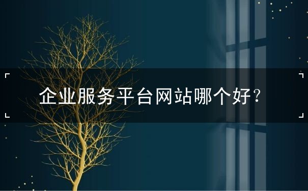 企业服务平台网站 企业服务平台网站