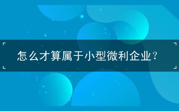 小型微利企业 小型微利企业