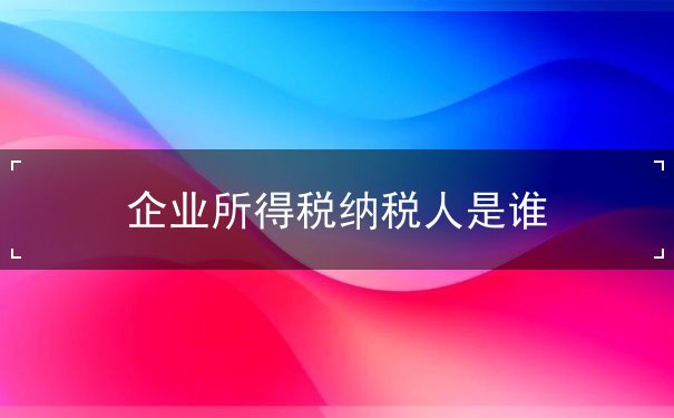 企业所得税纳税人 企业所得税纳税人