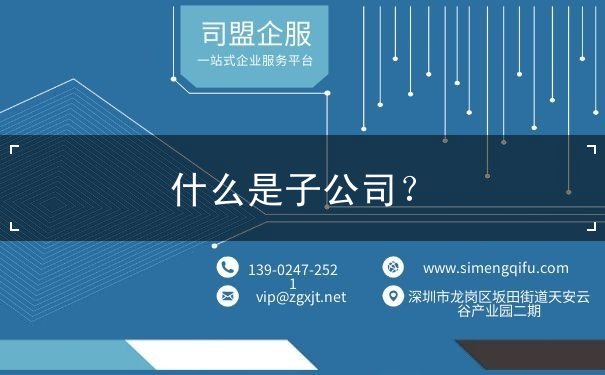什么是子公司?? 什么是子公司??
