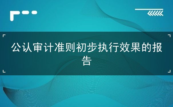 公认审计准则初步执行效果的报告 公认审计准则初步执行效果的报告