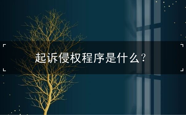 起诉侵权程序 起诉侵权程序