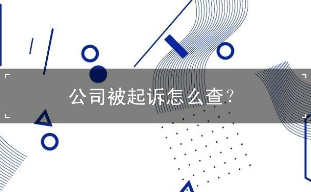 公司被起诉怎么查