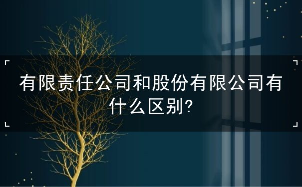 有限责任公司和股份有限公司区别 有限责任公司和股份有限公司区别
