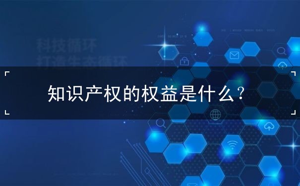 知识产权的权益