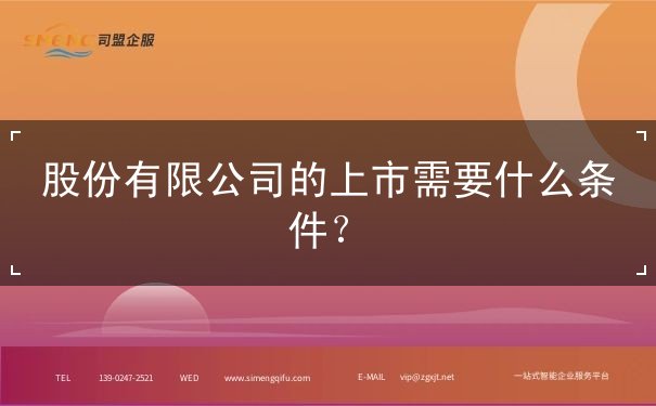股份有限公司的上市 股份有限公司的上市