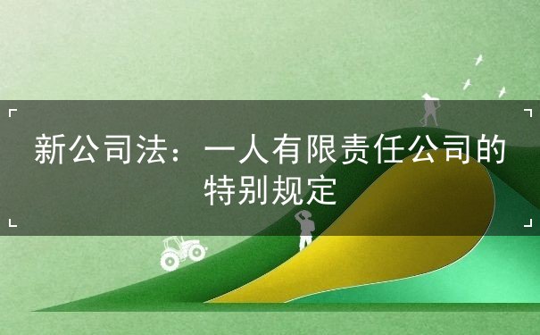 新公司法：一人有限责任公司的特别规定
