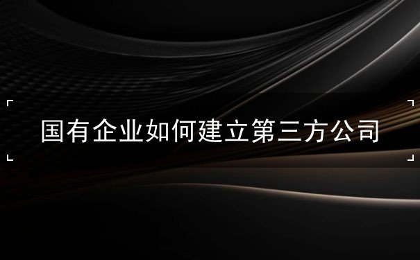 国有企业如何建立第三方公司 国有企业如何建立第三方公司