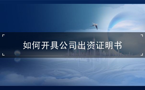 公司出资 公司出资