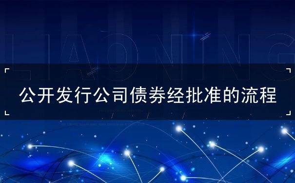 公开发行公司债券 公开发行公司债券