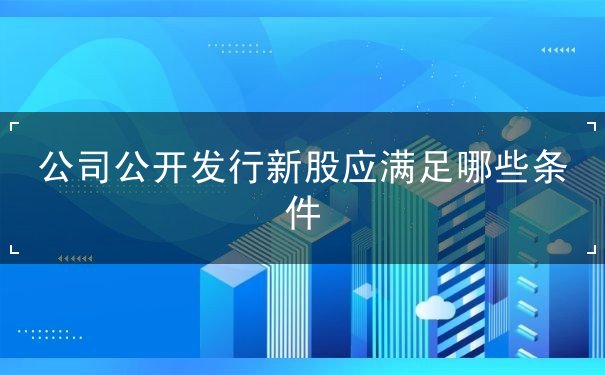 新股公开发行 新股公开发行