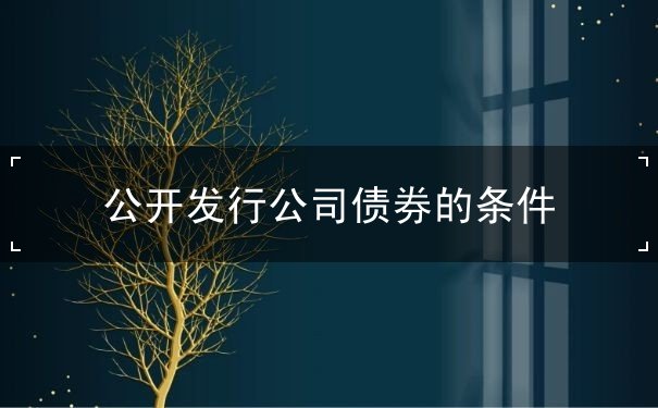 公开发行公司债券的条件 公开发行公司债券的条件