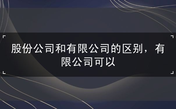 股份公司和有限公司 股份公司和有限公司