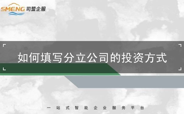 怎么 公司 出资方式 设立 分立 填 怎么 公司 出资方式 设立 分立 填