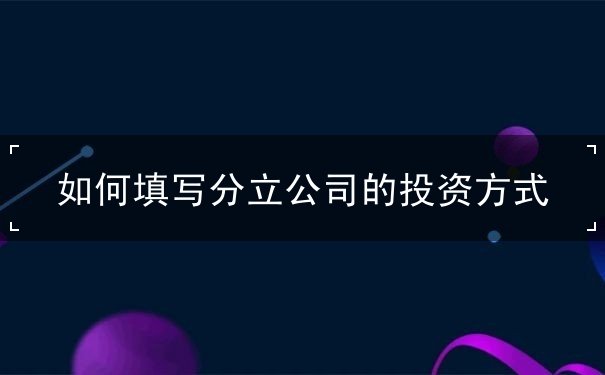 怎么 公司 出资方式 设立 分立 填 怎么 公司 出资方式 设立 分立 填