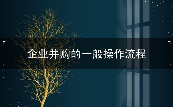 企业并购的一般操作流程 企业并购的一般操作流程