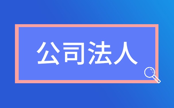 法人企业和非法人企业 法人企业和非法人企业