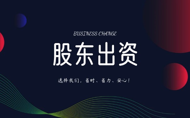 2022年公司股东出资方式