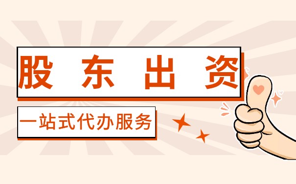 有限公司股东出资 有限公司股东出资