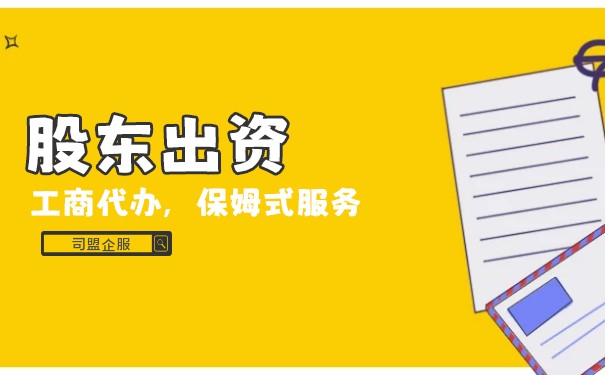 股东出资 股东出资