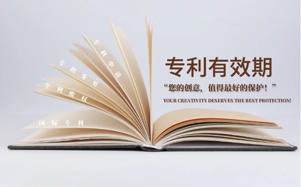 专利保护范围 专利保护范围