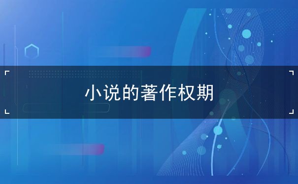 小说的著作权 小说的著作权