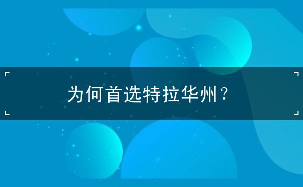 为何首选特拉华州? 为何首选特拉华州?