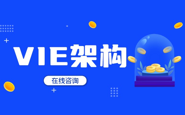 VIE经验是什么意思？