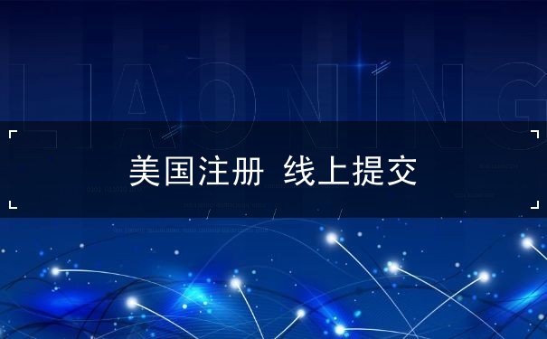 美国注册 线上提交