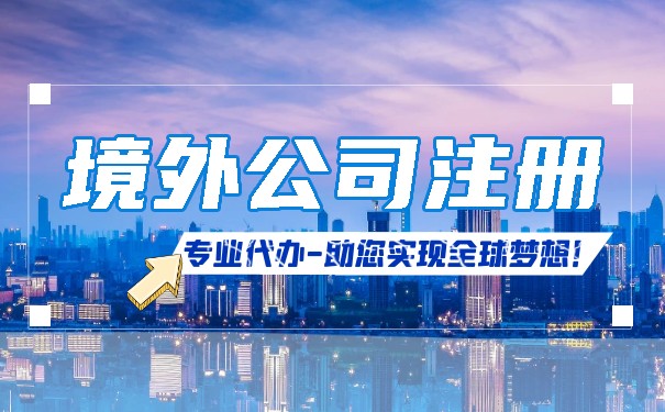 境外公司注册信息 境外公司注册信息