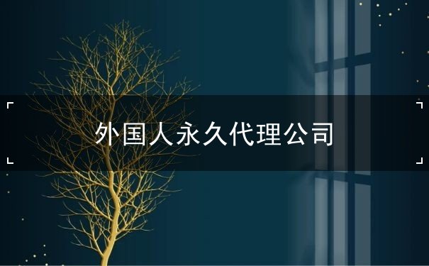 外国人永久代理公司