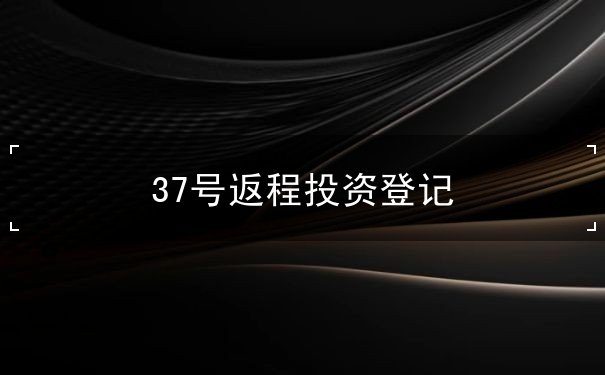 37号返程投资登记 37号返程投资登记