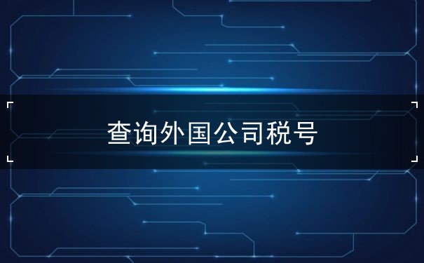 查询外国公司税号 查询外国公司税号