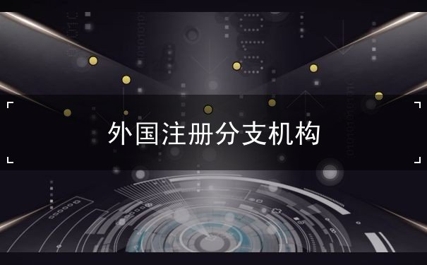 外国注册分支机构