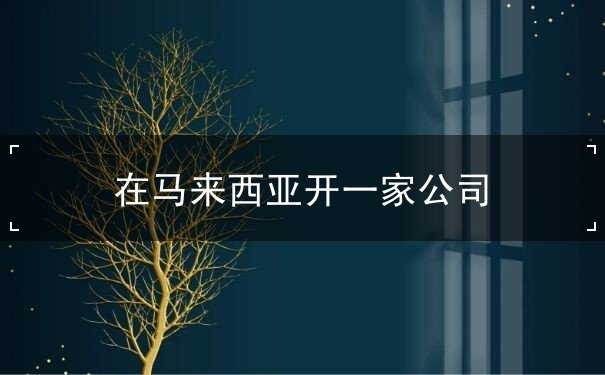 在马来西亚开一家公司 在马来西亚开一家公司