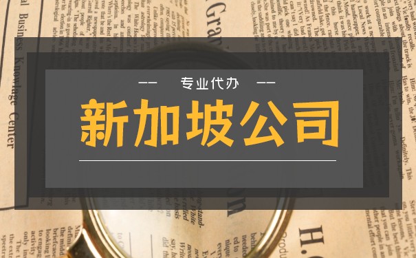 如何查看新加坡公司的信息