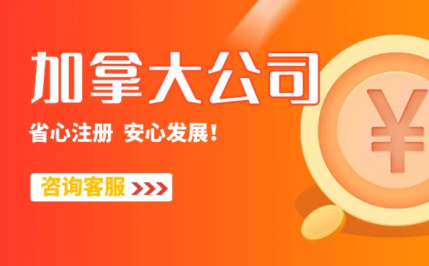 加拿大注册公司资本