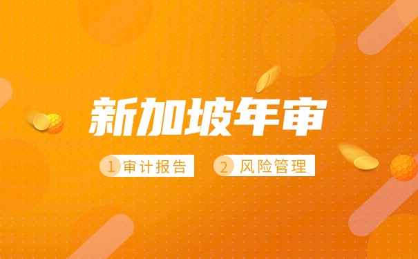 代表新加坡公司进行会计审计所需的信息