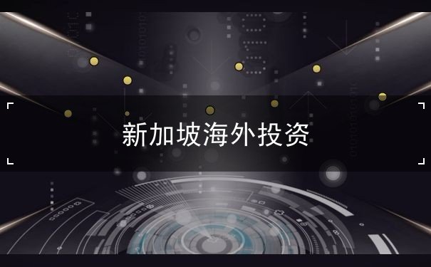 新加坡海外投资 新加坡海外投资